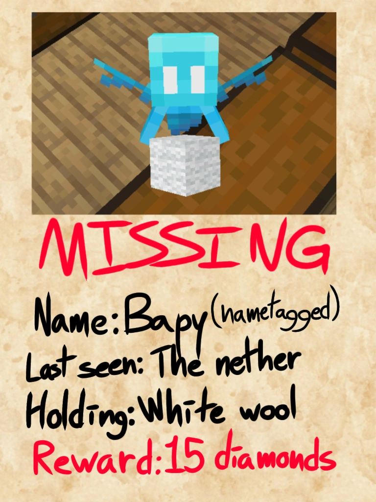 Minecraft missing persons announcement #1 | Fandom