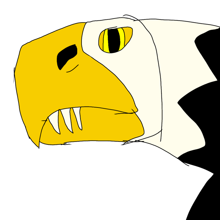 Fandom Image