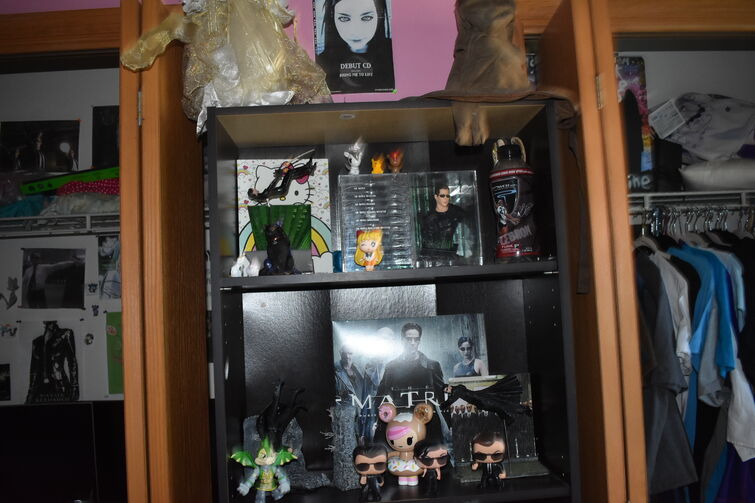 Fandom Image