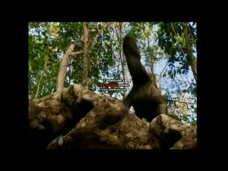 the komodo dragon ate homo floresinensis or hobbit Guy