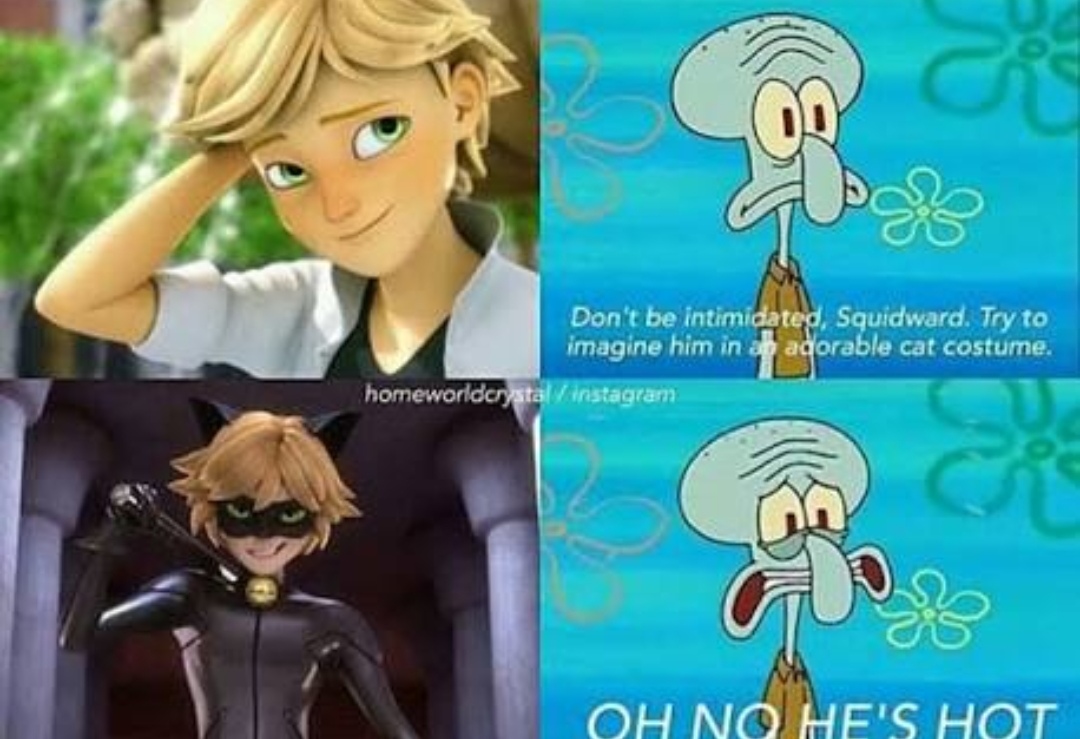 Miraculous Memes Fandom