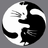 Bomell's avatar