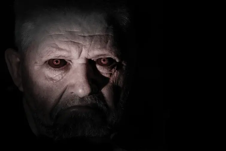 Example Page | Fandom