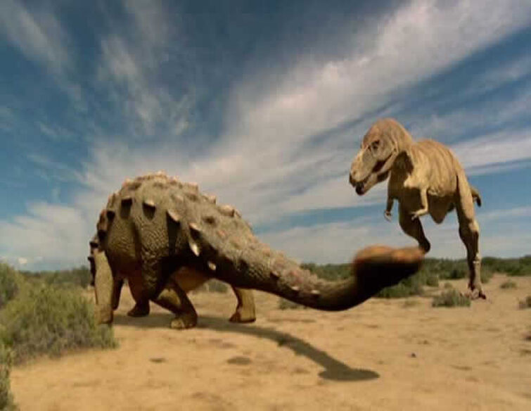 ankylosaurus vs t rex