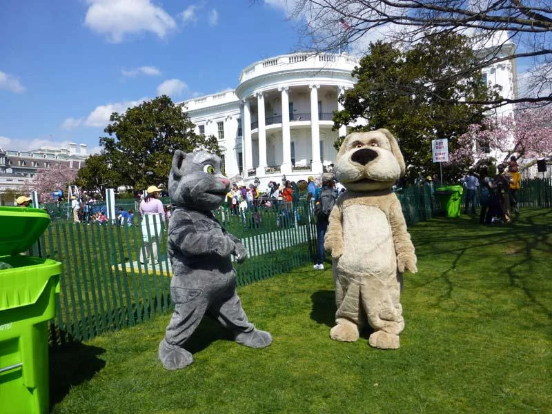 Talking Tom and Ben at Easter | Fandom