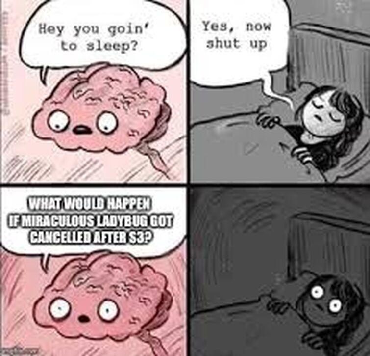 Miraculous Memes 2 Fandom