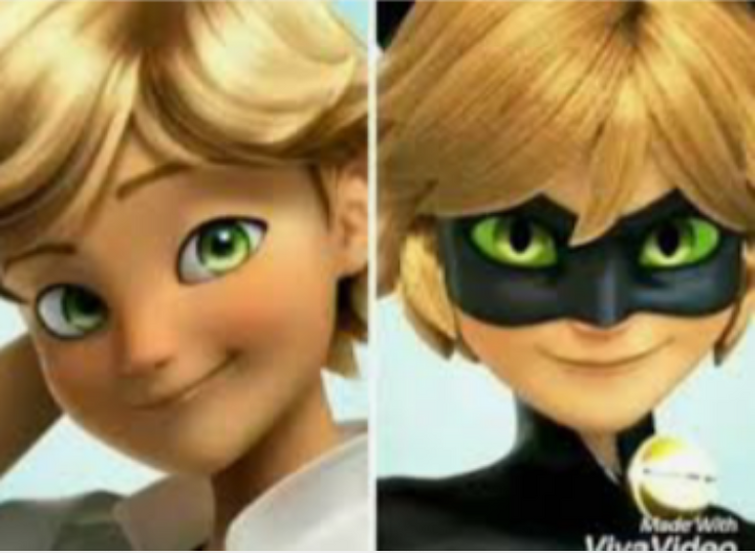 Chat Noir Vs Adrien Fandom