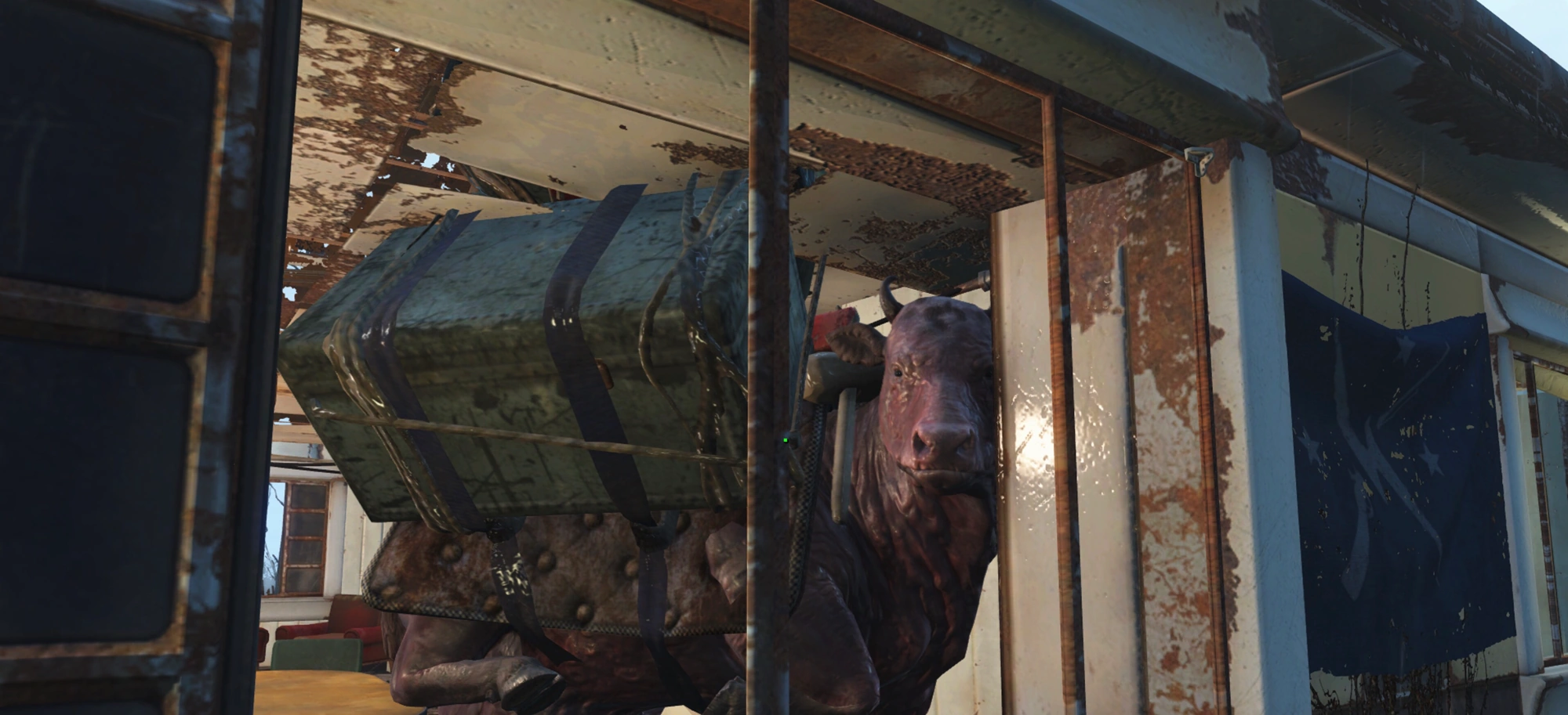 ...Why is Trashcan Carla’s brahmin in one of my Sanctuary houses? Fandom