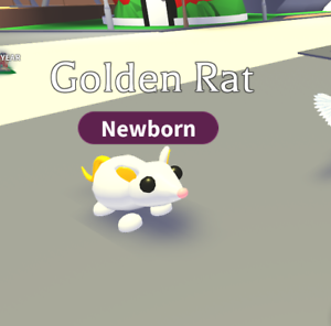 Roblox Adopt Me Online Head Over To My Wall Page To Be Entered To My Golden Rat Giveaway