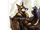 Evil Fox Warlord