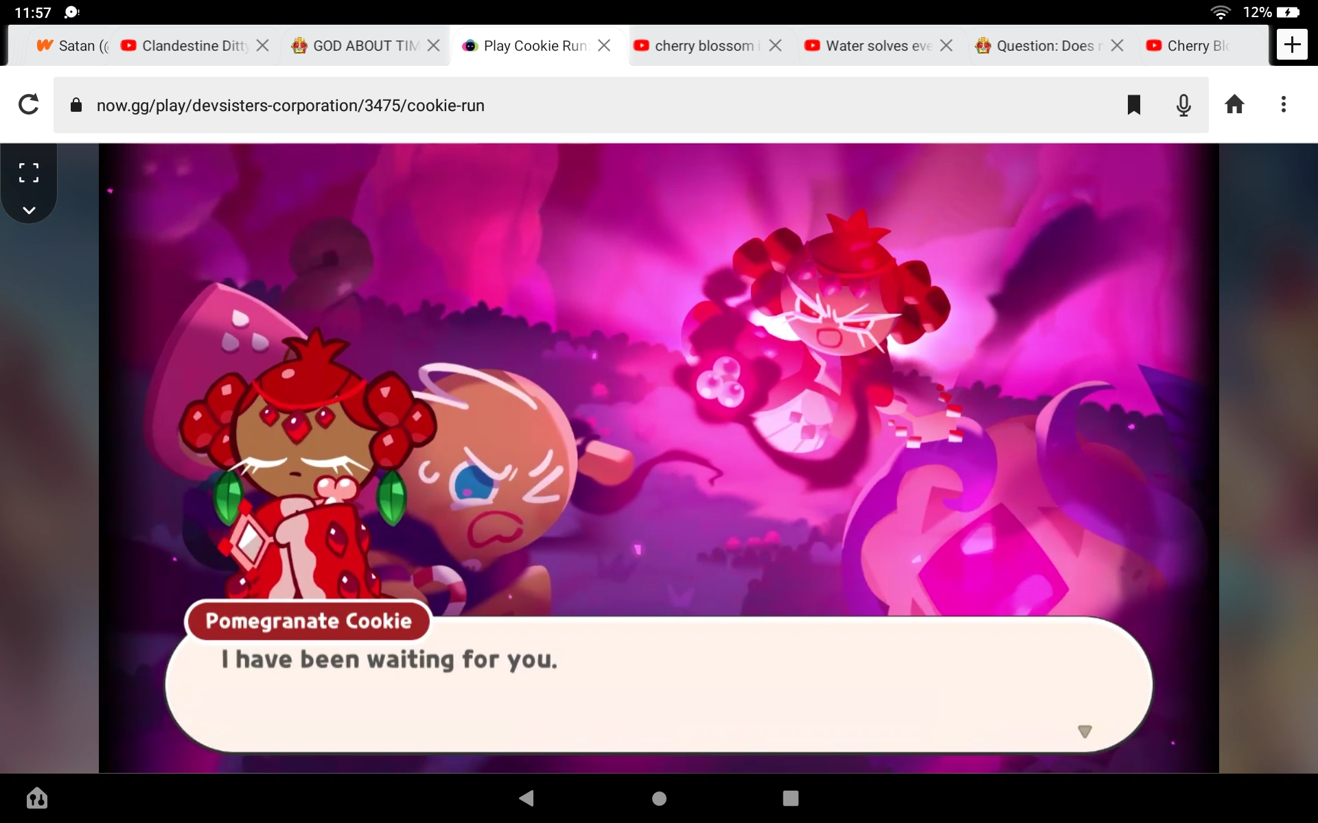 NO POMEGRANATES Fandom