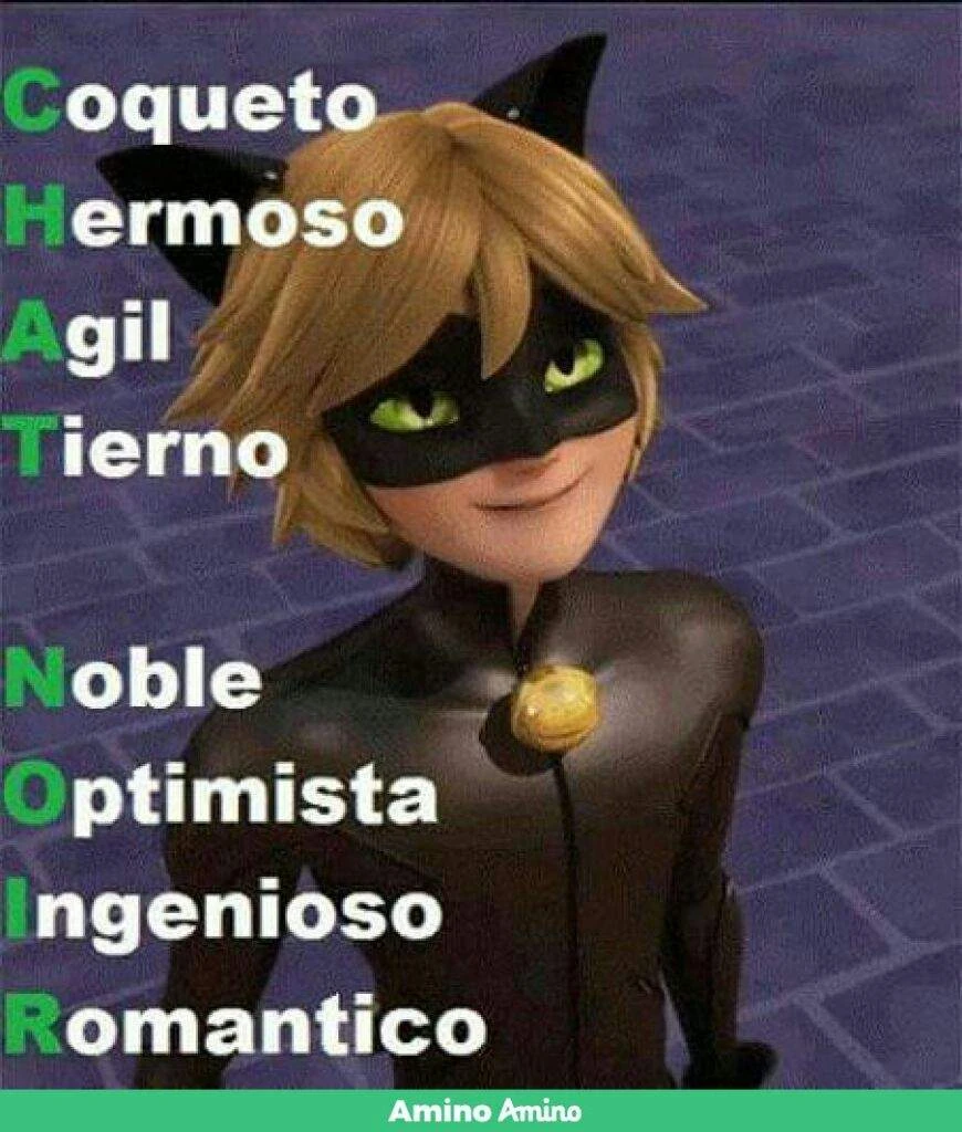 Entonces Este Es El Significado De Chat Noir Fandom