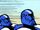 Blue Squad