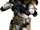 Clone marshal commander