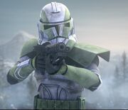 GreyCombat