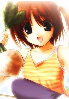 Clannad, Clannad Wiki