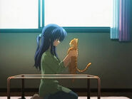 Misae and her cat, Shima in Forever By Your Side