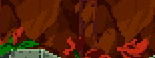 Red flowers