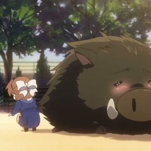 Botan Clannad Wiki Fandom The clannad community on reddit. botan clannad wiki fandom