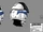 Clone trooper pilot