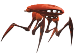 Rapu