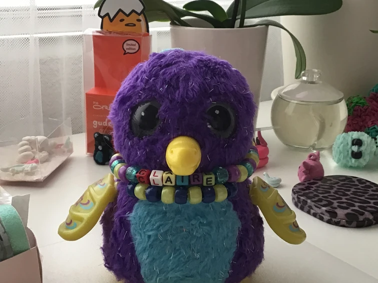 Discuss Everything About Hatchimals Wiki Fandom