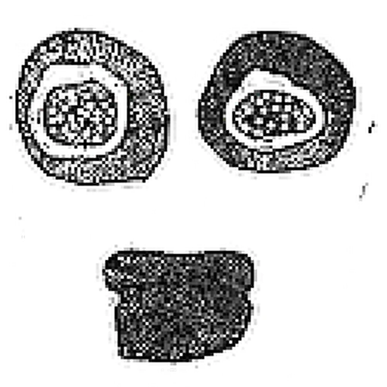 The multiversal god... | Fandom