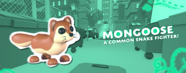 Mongoose, Adopt Me! Wiki