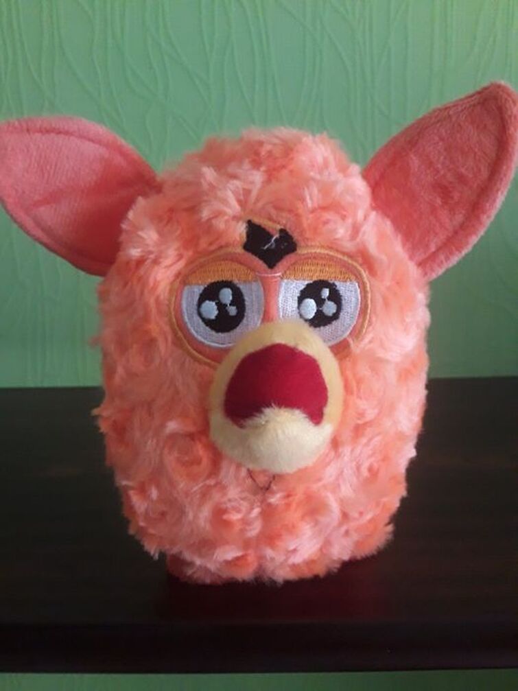 Fandom Image