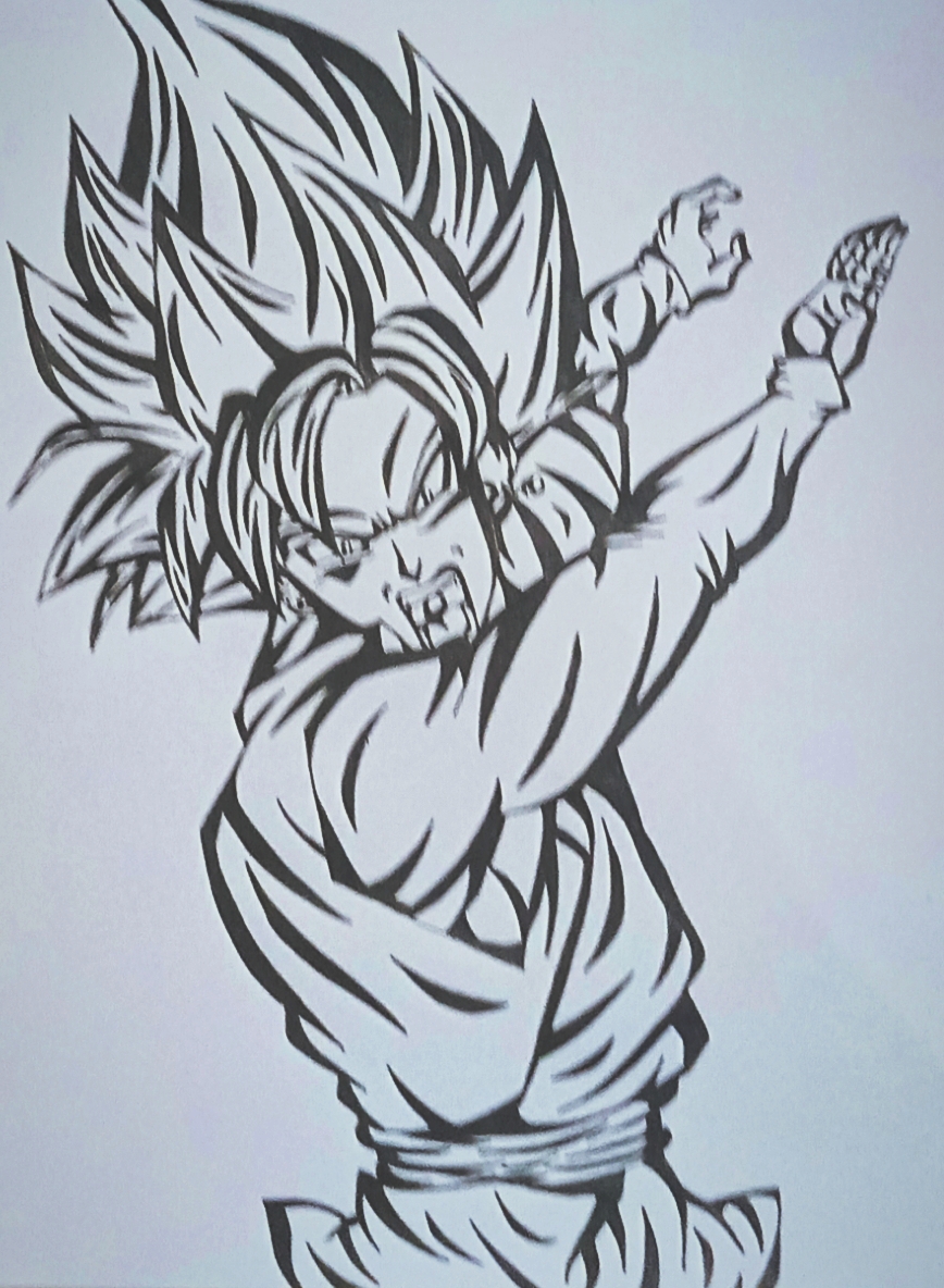 THE MULTIVERSE OF GOKU - DRAGON BALL CUSTOM DRAWING