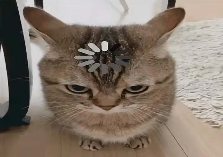 (Copying tri)what kind of kid do you think i am at school Fandom