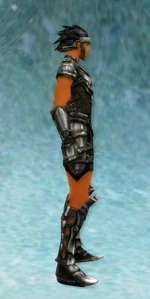 Right Armorset m