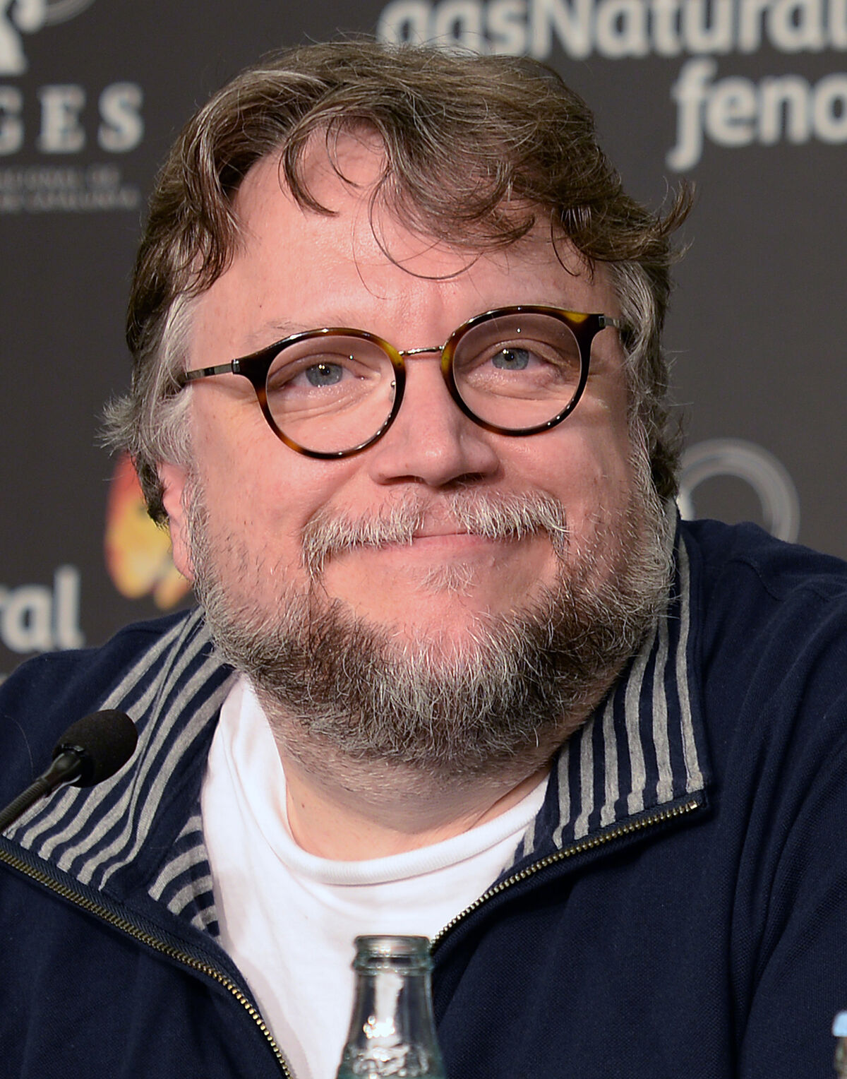 Le Cabinet de curiosités de Guillermo del Toro - Série TV 2022 - AlloCiné