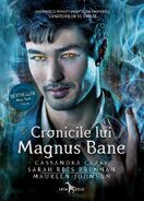 Cronicile lui Magnus Bane