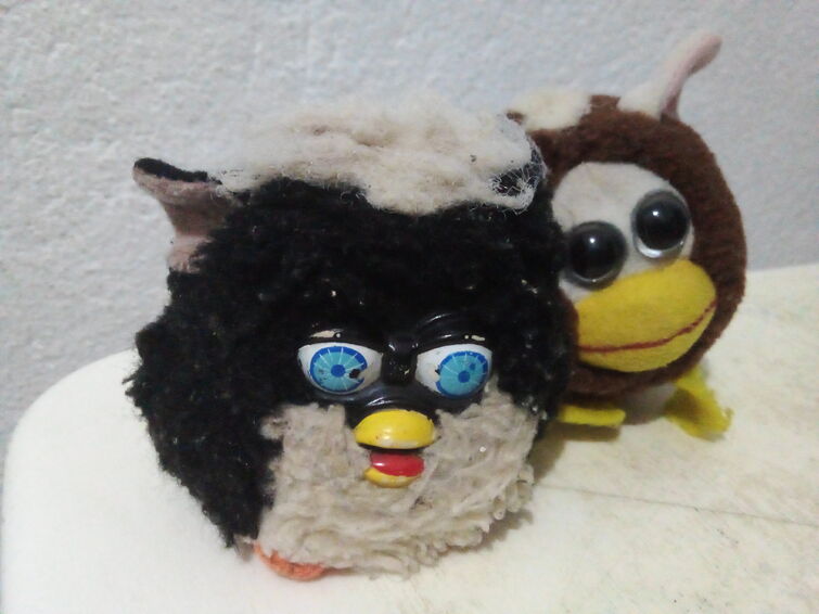 Fandom Image