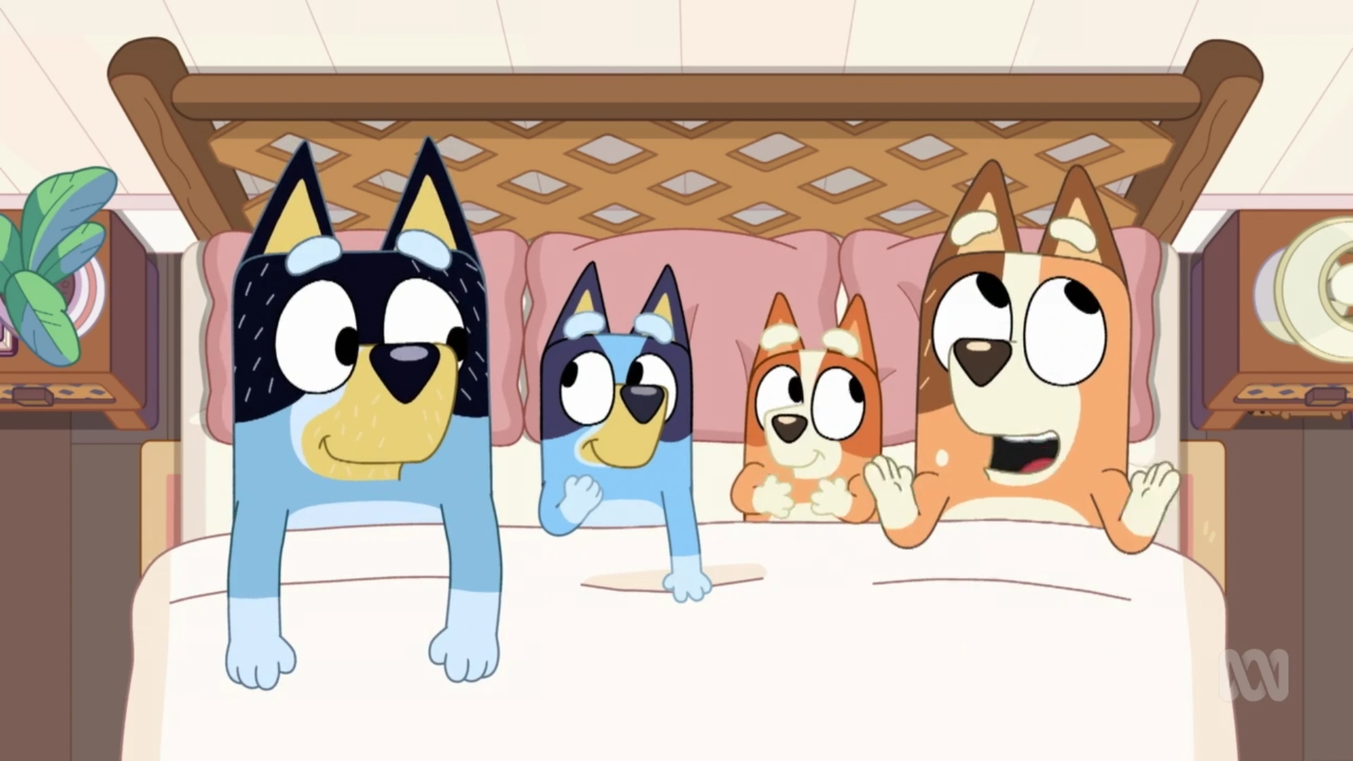 i think they should add these to the gallery of Chilli Heeler. Fandom