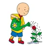 Caillou with a watering can and plants a flower - gardening