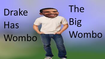 Drake wombo