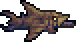 Fetid Emesis