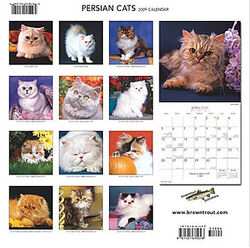 Persian Cats (2009) | Calendaria Wiki | Fandom