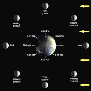 Lunar-Phase-Diagram