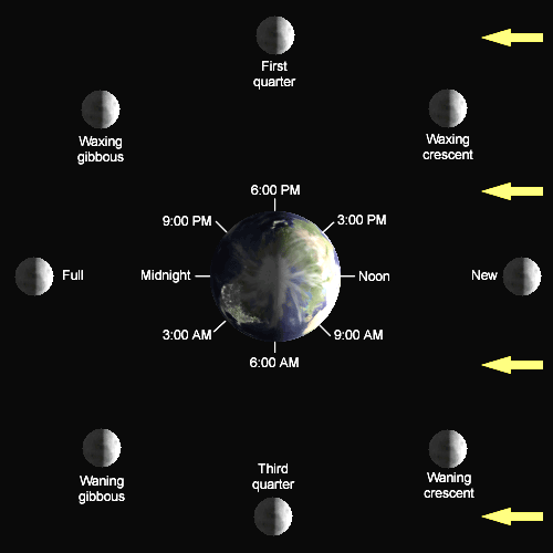 The Length of the Lunar Cycle