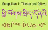 Ectopolitan-tibetan-ojibwe