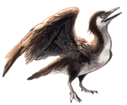 Artist reconstruction of Yanornis Martini