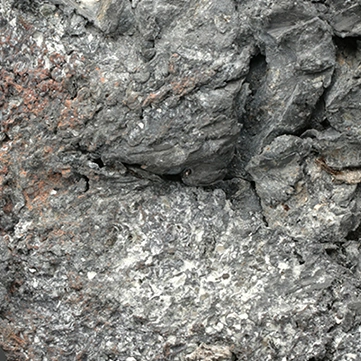 27 Nivôse Wiki Calendrier républicain Fandom