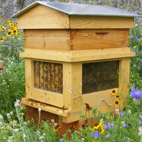 20 Germinal Wiki Calendrier républicain Fandom