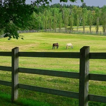 20 Messidor Wiki Calendrier républicain Fandom