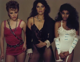 1982 vanity6 band