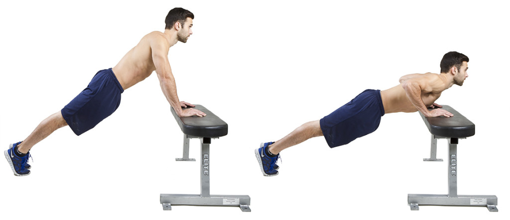 Standard Push Ups Calisthenics Wiki Fandom