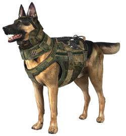 call of duty ghosts dog